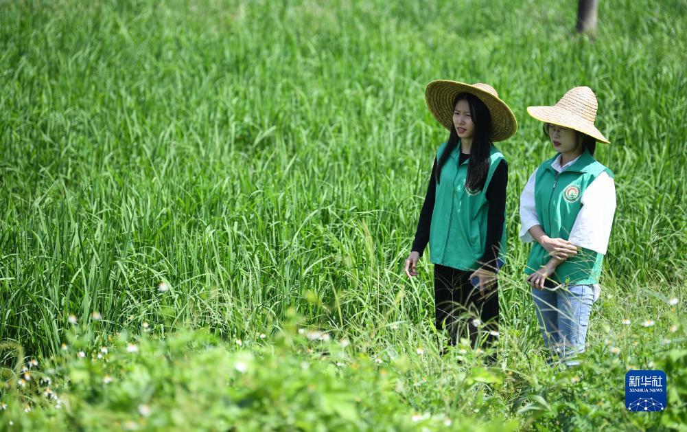 天9国际登录